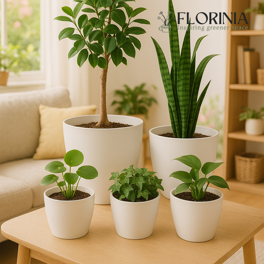 5-Piece White Plastic Planter Pot Set – Modern Round Design